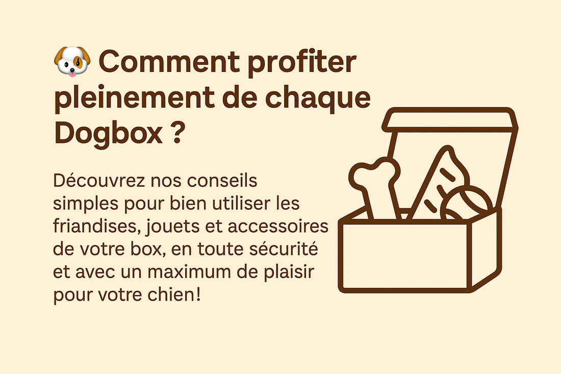 Conseils d’utilisation de Dogboxpremium – Bien utiliser chaque produit