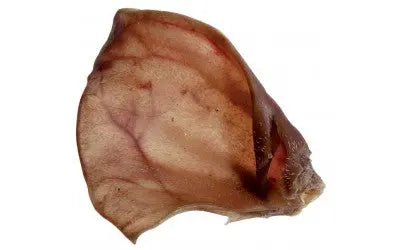 Oreille de porc naturelle pour chien, mastication longue durée