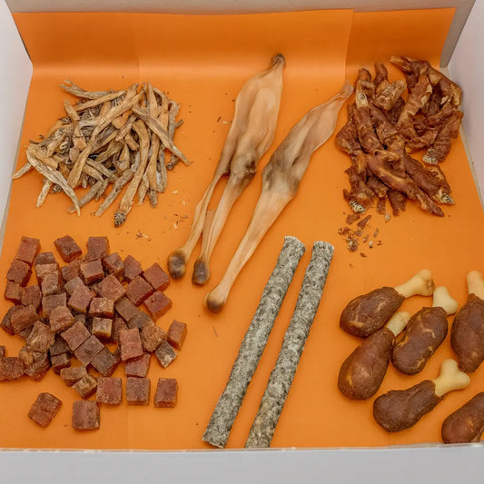 Dogbox spécial chiot - dogboxpremium