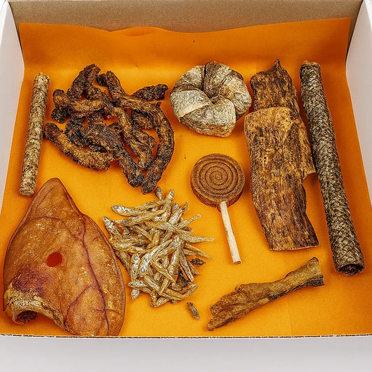 Dogbox Découverte - dogboxpremium
