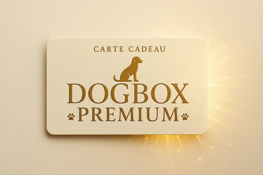 carte cadeaux dogboxpremium. dogboxpremium
