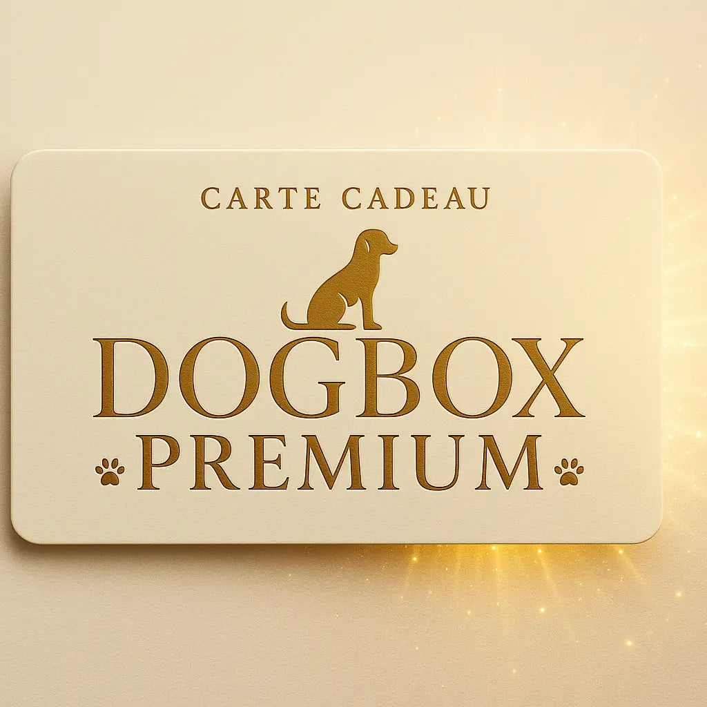 carte cadeaux dogboxpremium dogboxpremium