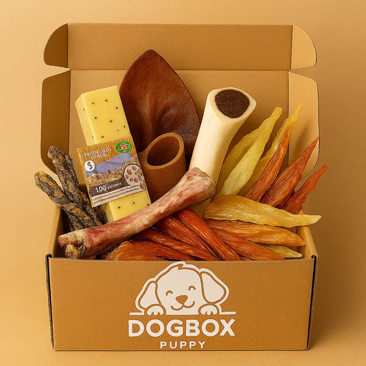 Dogbox chiot Personnalisé accessoires pour chiot - dogboxpremium