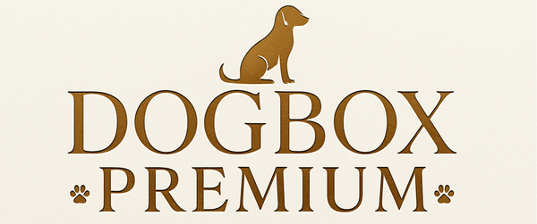 ecriture dogboxpremium