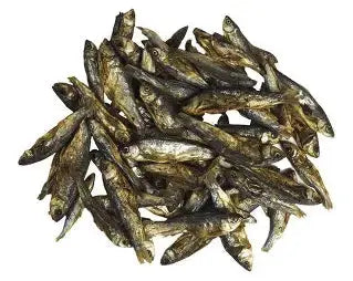 Poisson de mer séché, snack naturel pour chien